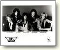 Buy the Aerosmith Photo